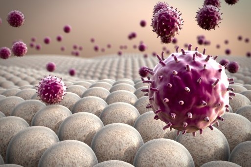 Joint BIS/NVVI Immunology Meeting 2023 – 11 – 20/21&nbsp;Antwerp