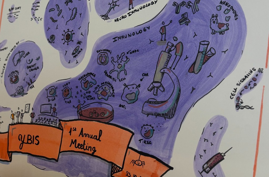 Recap: first Annual yBIS meeting in Antwerp&nbsp;(2024)