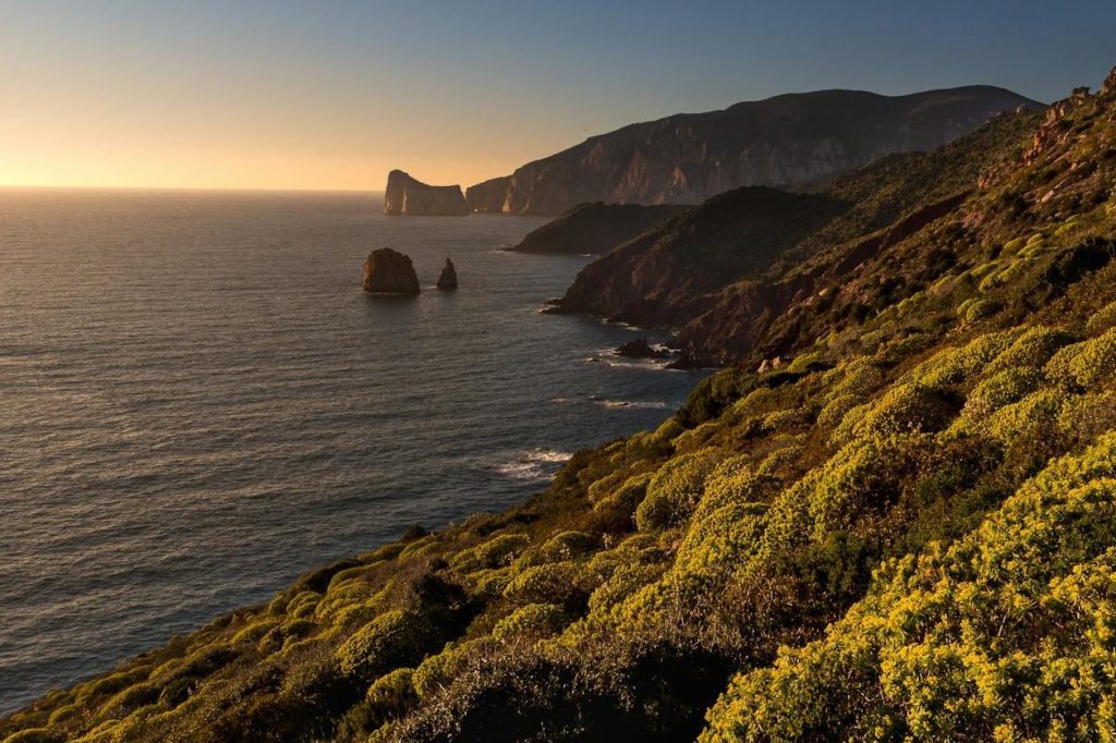 Registration 18th Summer School on Advanced Immunology–Sardinia