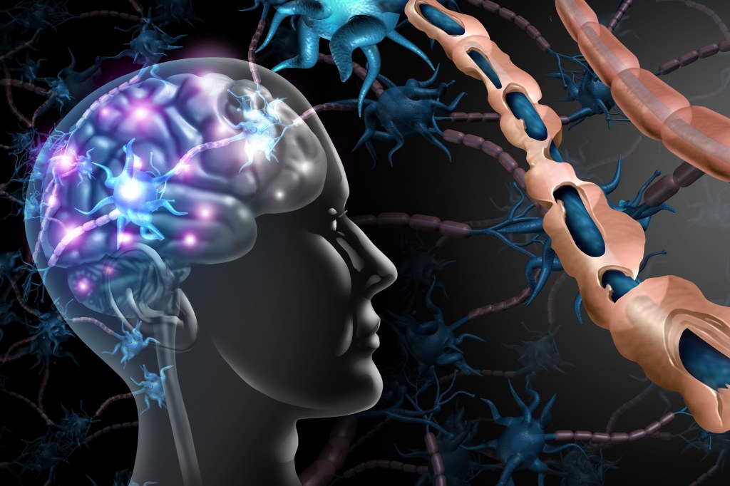 Belgian MS Research Day&nbsp;2025